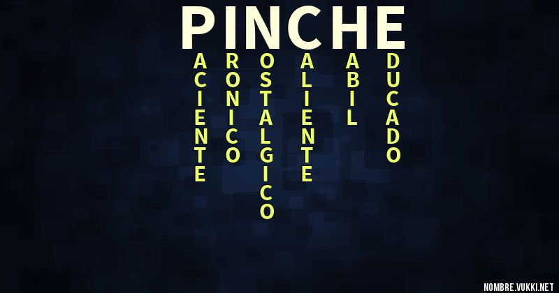 Acróstico pinche